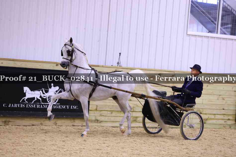 Proof 21_BUCK_02841