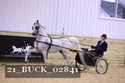 21_BUCK_02841 proof
