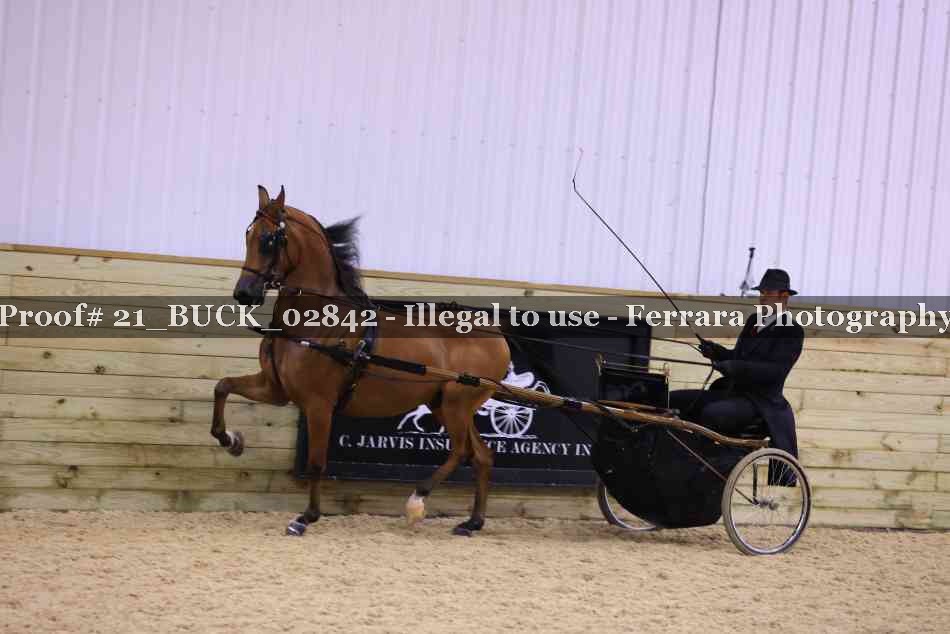 Proof 21_BUCK_02842