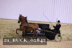 21_BUCK_02842 proof