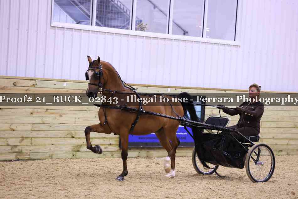 Proof 21_BUCK_02843