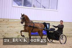 21_BUCK_02843 proof