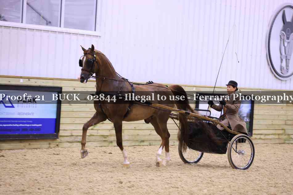 Proof 21_BUCK_02844