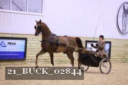 21_BUCK_02844 proof