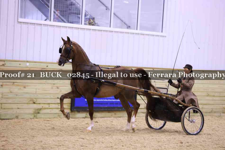 Proof 21_BUCK_02845