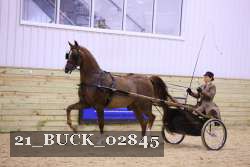 21_BUCK_02845 proof