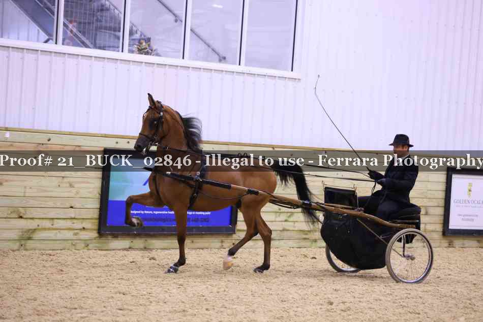 Proof 21_BUCK_02846