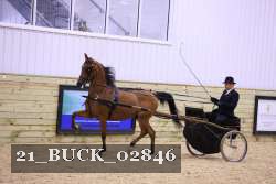 21_BUCK_02846 proof
