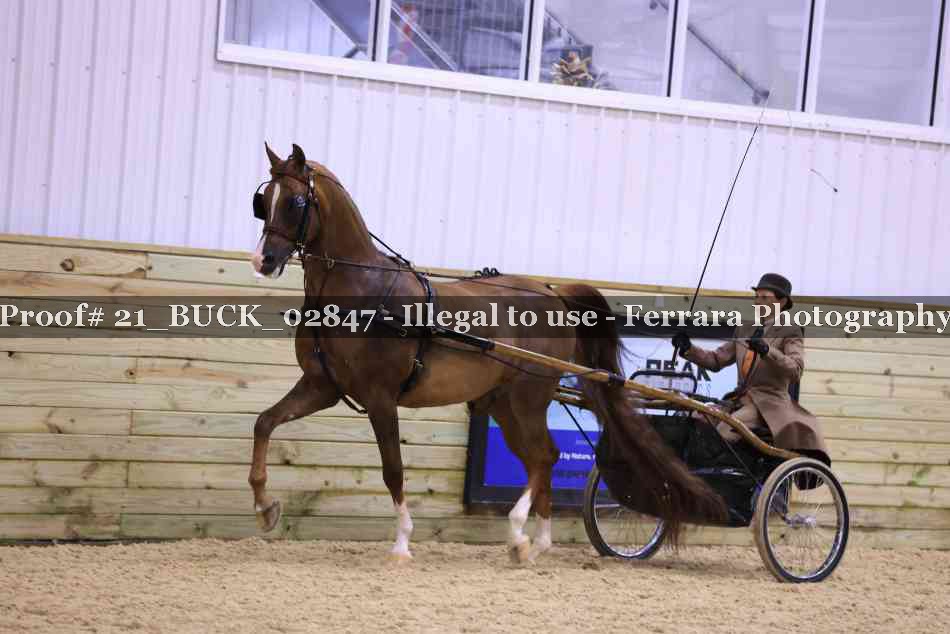 Proof 21_BUCK_02847