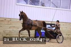21_BUCK_02847 proof