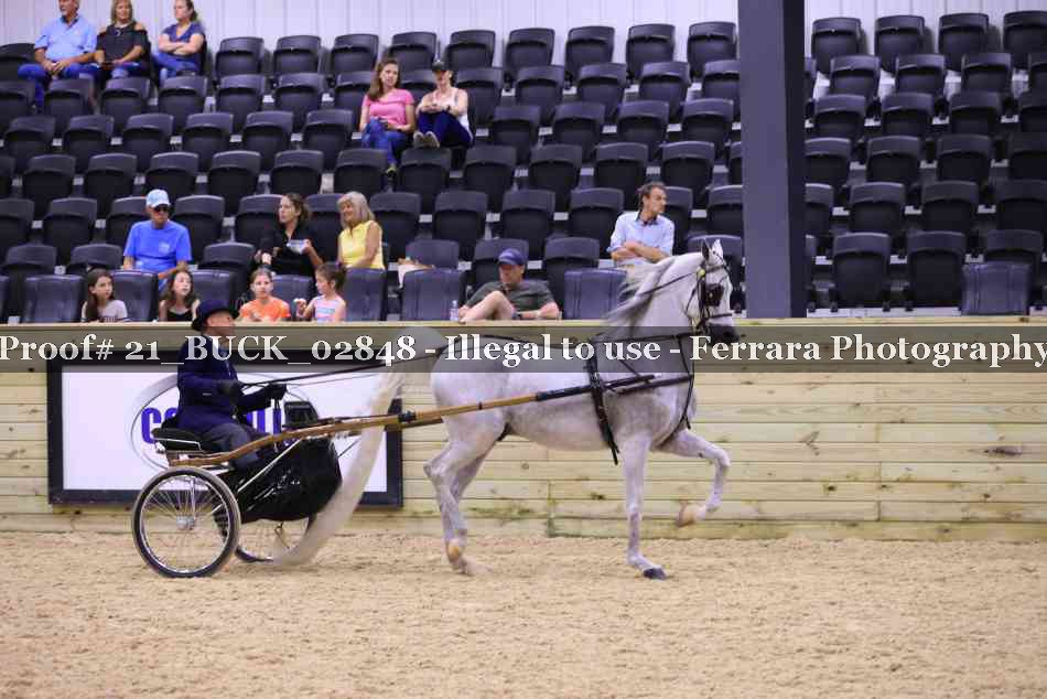 Proof 21_BUCK_02848