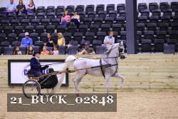 21_BUCK_02848 proof