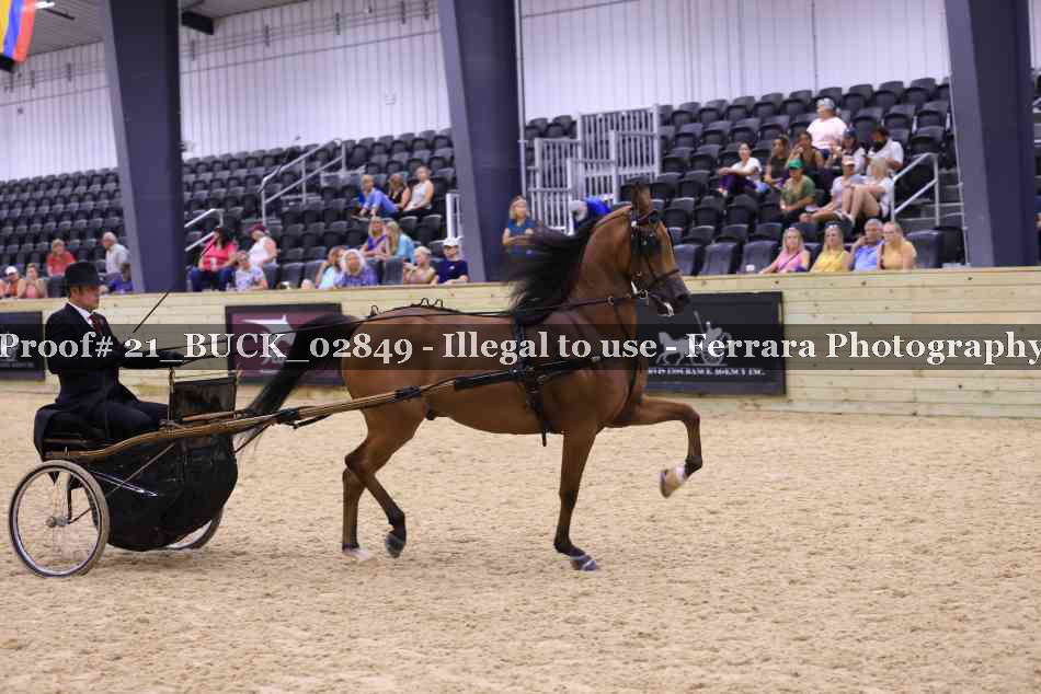 Proof 21_BUCK_02849