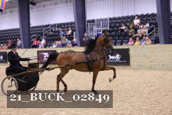 21_BUCK_02849 proof