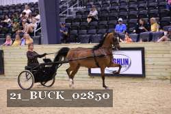 21_BUCK_02850 proof