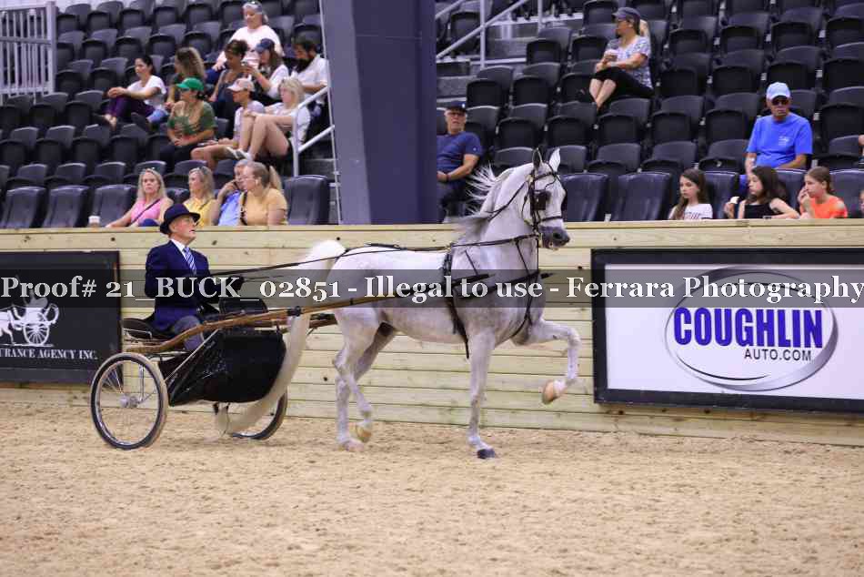 Proof 21_BUCK_02851