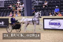 21_BUCK_02851 proof