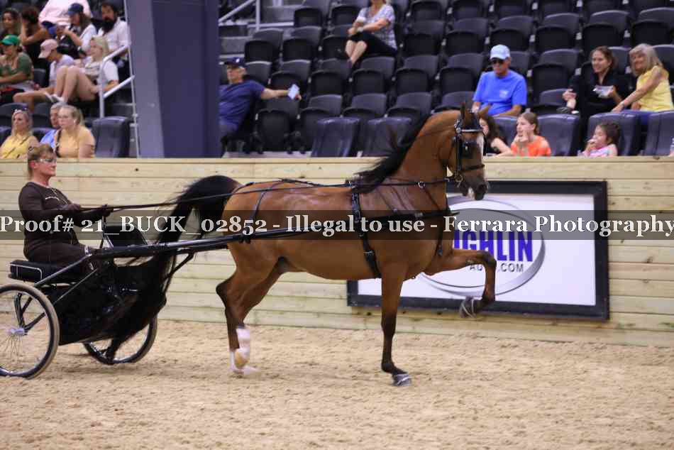 Proof 21_BUCK_02852