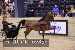 21_BUCK_02852 proof