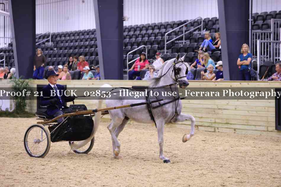 Proof 21_BUCK_02853