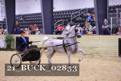 21_BUCK_02853 proof