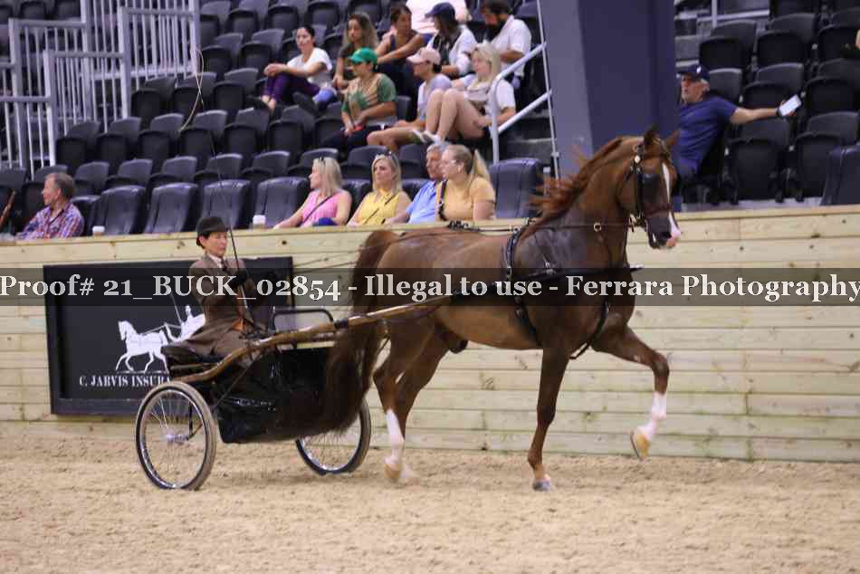Proof 21_BUCK_02854