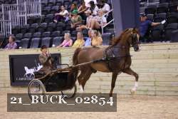 21_BUCK_02854 proof