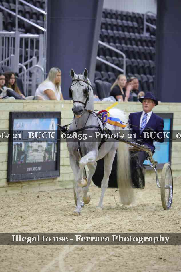 Proof 21_BUCK_02855