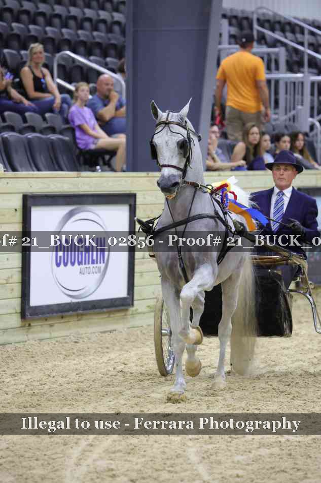 Proof 21_BUCK_02856