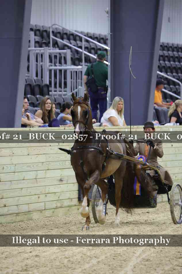 Proof 21_BUCK_02857