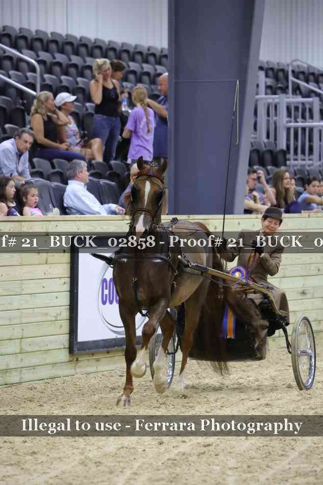 Proof 21_BUCK_02858