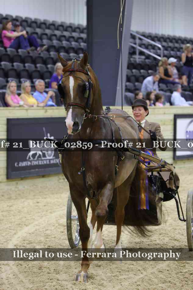 Proof 21_BUCK_02859