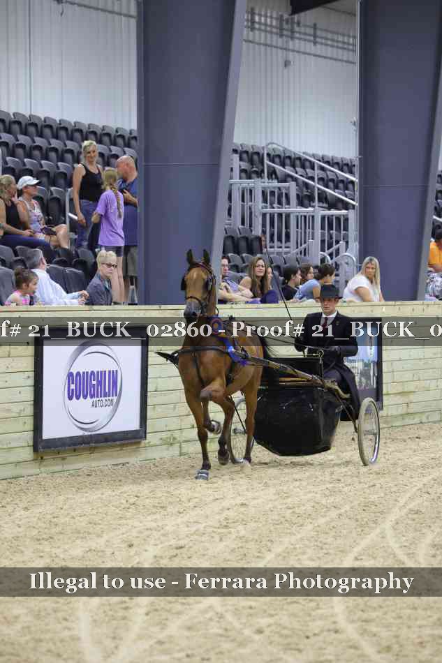 Proof 21_BUCK_02860