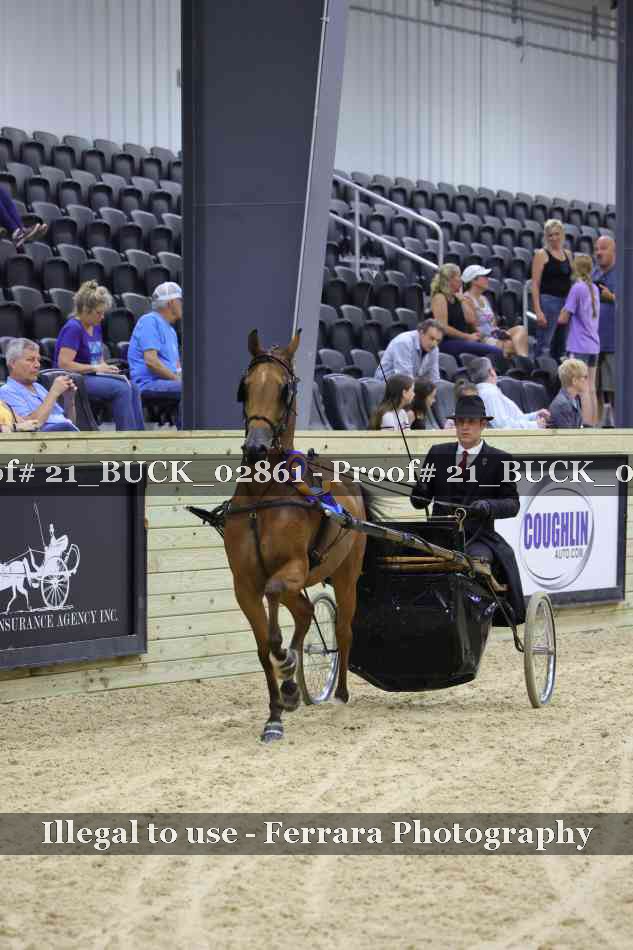 Proof 21_BUCK_02861