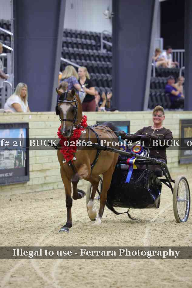 Proof 21_BUCK_02862