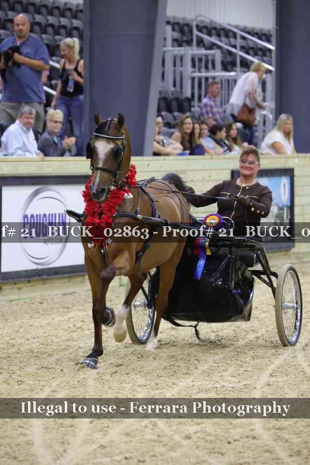 Proof 21_BUCK_02863