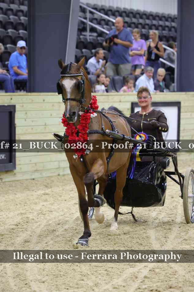 Proof 21_BUCK_02864