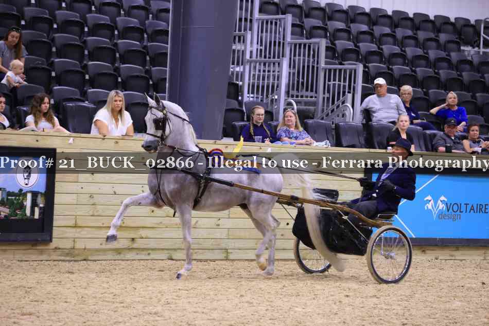 Proof 21_BUCK_02866