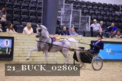 21_BUCK_02866 proof