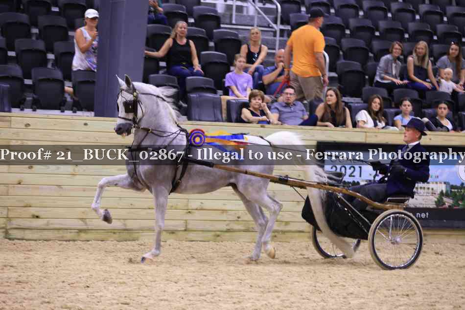 Proof 21_BUCK_02867