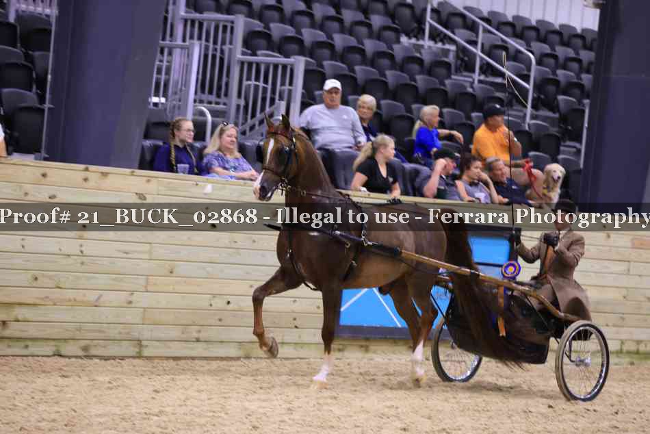 Proof 21_BUCK_02868