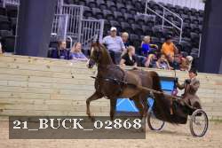 21_BUCK_02868 proof
