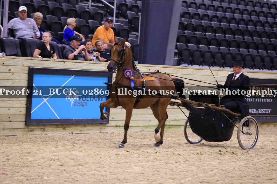 Proof 21_BUCK_02869