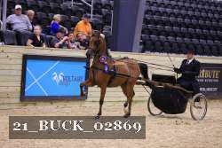21_BUCK_02869 proof