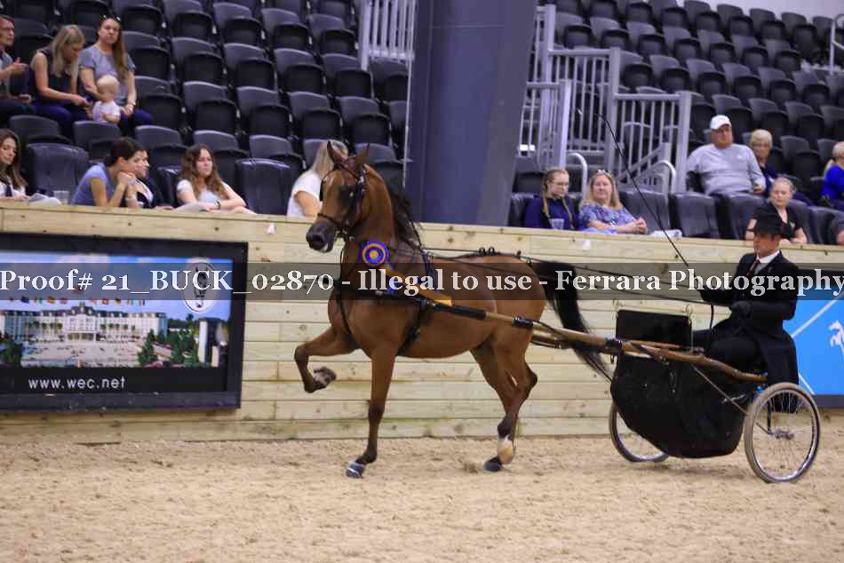 Proof 21_BUCK_02870