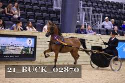 21_BUCK_02870 proof