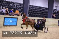 21_BUCK_02871 proof