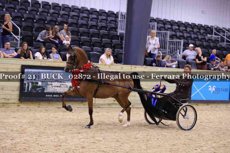 Proof 21_BUCK_02872