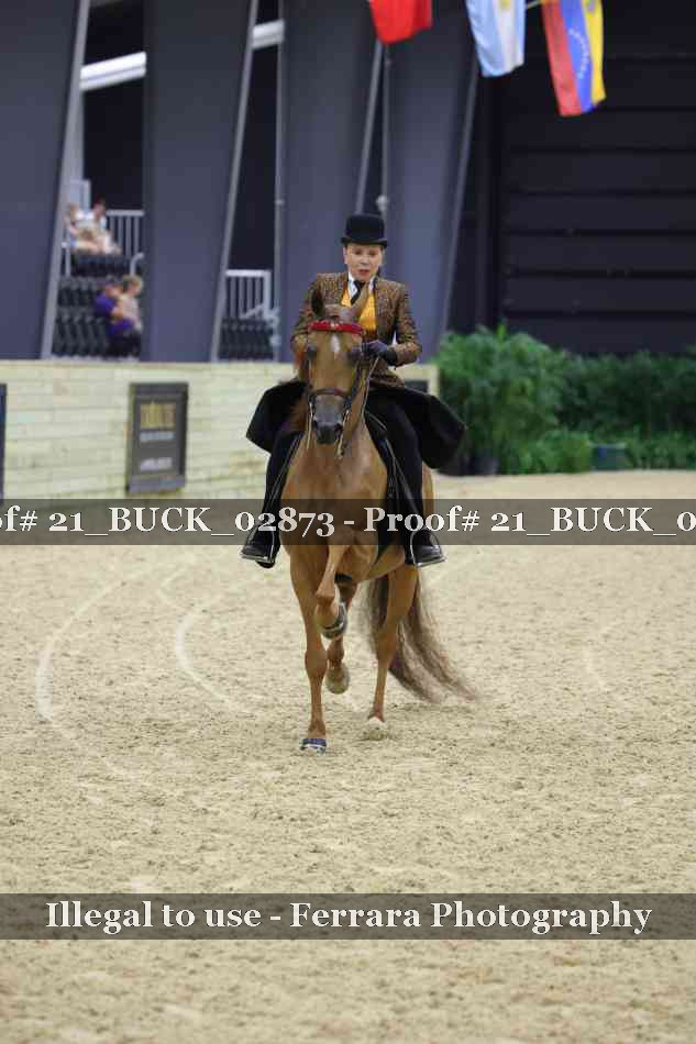 Proof 21_BUCK_02873