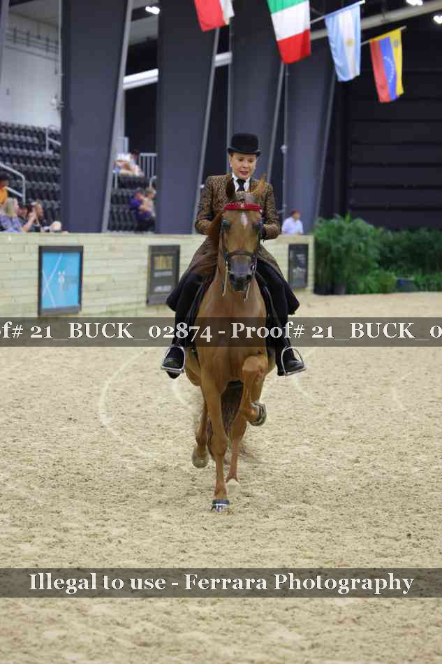 Proof 21_BUCK_02874